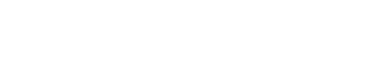 Meister Rein
